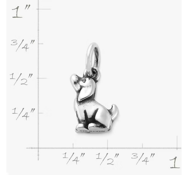 Pint-Sized Puppy Charm