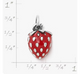 Enamel Wild Strawberry Charm