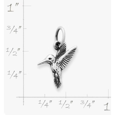 Hummingbird Charm