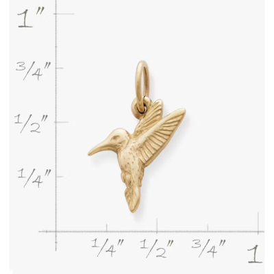 Hummingbird Charm