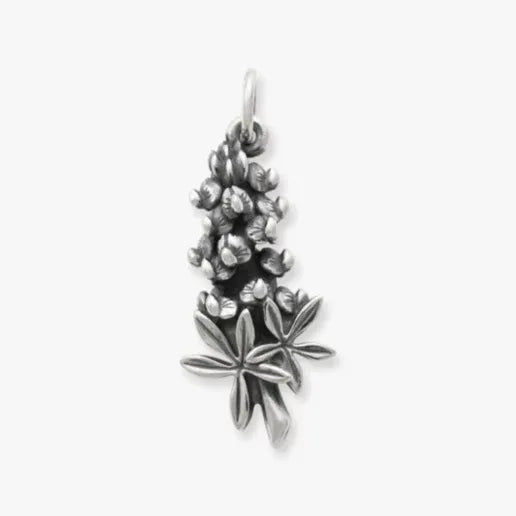 Bluebonnet Charm